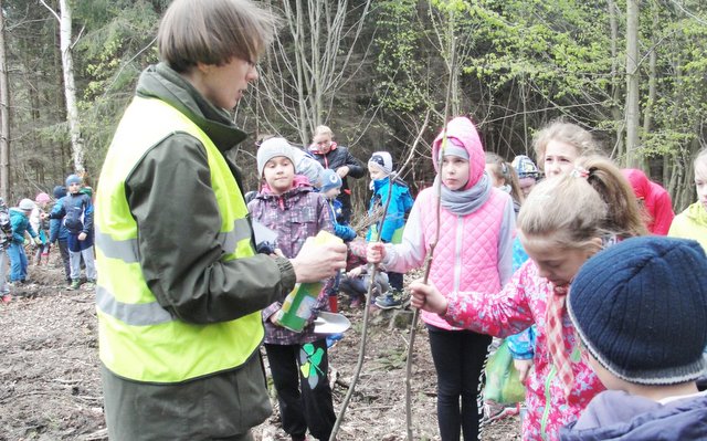 Anna Flis z Nadleśnictwa Henryków pokazała dzieciom jak sadzić drzewka