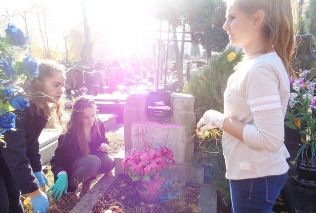 Uczniowie z Gimnazjum nr 1 w Strzelinie porządkowali groby na cmentarzu parafialnym w Strzelinie