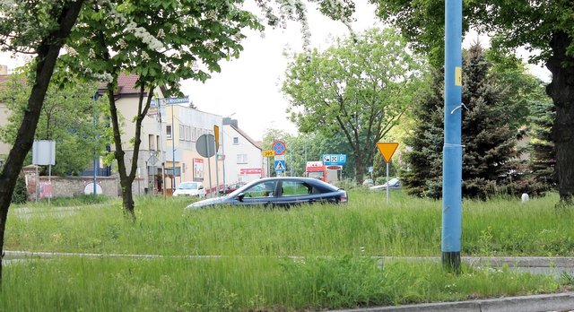 Skrzyżowanie ulic Wrocławskiej i Oławskiej w Strzelinie. Wysokie trawy zasłaniają widok kierowcom