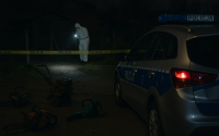 Strzelińskie ogródki obrabowane – policja szuka sprawców
