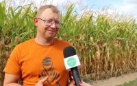 Brak opadów – mniejsze plony