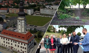 Głośny wyrok, inwestycje, awaryjne lądowanie 