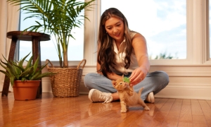 Dzień Kota: 5 faktów o kotach, które mogą cię zaskoczyć