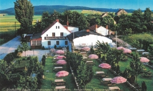 Czeska Buda w drodze na Gromnik