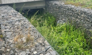Co dalej z potokiem Komar?