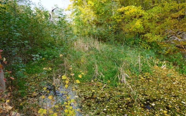 Co z nową świetlicą i zaniedbanym stawem?