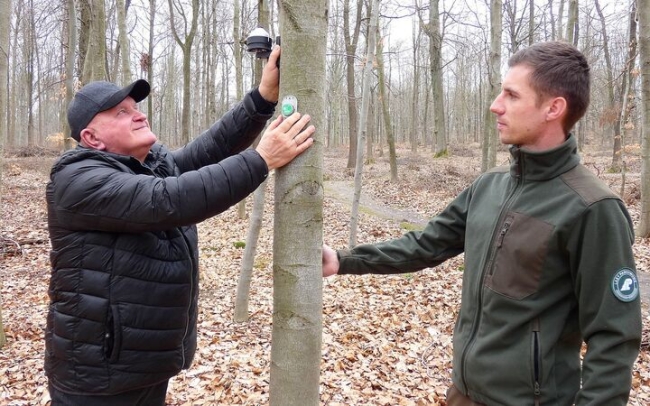 Las pod Gromnikiem obserwowany z kosmosu