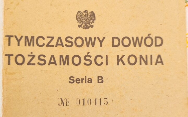Szkoły, sklepy i trudna codzienność