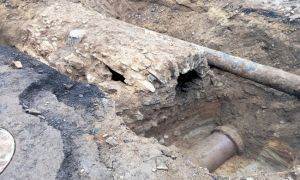Czy odkopano średniowieczną piwnicę?