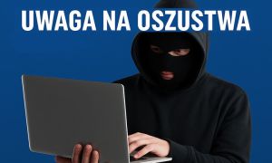 Fala kradzieży przez internet