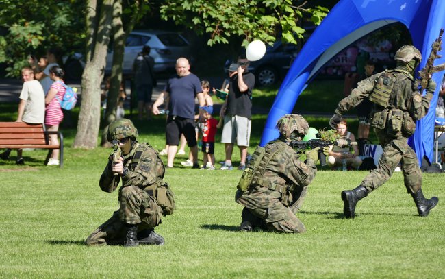 Święto Wojska Polskiego i Piknik Wojskowo - Mundurowy w Strzelinie