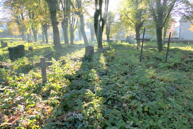 W 1909 roku na zboczu Góry Szańcowej w Strzelinie powstał cmentarz ewangelicko-reformowany. Do dziś zachowały się tam pojedyncze płyty nagrobne W 1909 roku na zboczu Góry Szańcowej w Strzelinie powstał cmentarz ewangelicko-reformowany. Do dziś zachowały się tam pojedyncze płyty nagrobne
