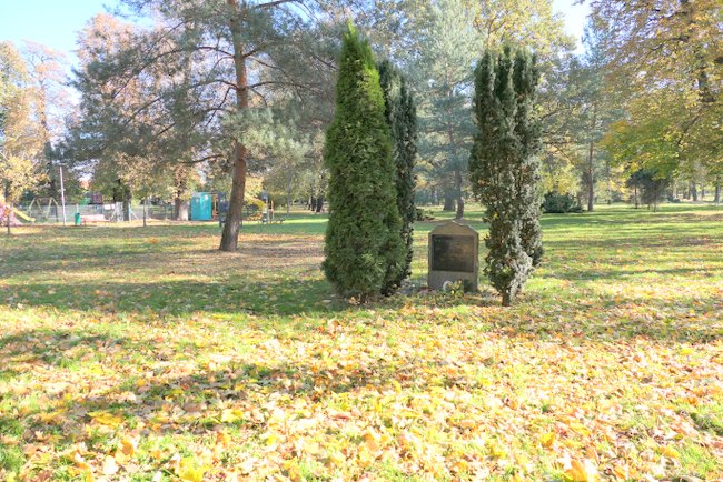 W tym miejscu, przy ulicy Staszica w Strzelinie, w latach 1636-1973 znajdował się cmentarz ewangelicki, o czym przypomina tablica informacyjna W tym miejscu, przy ulicy Staszica w Strzelinie, w latach 1636-1973 znajdował się cmentarz ewangelicki, o czym przypomina tablica informacyjna