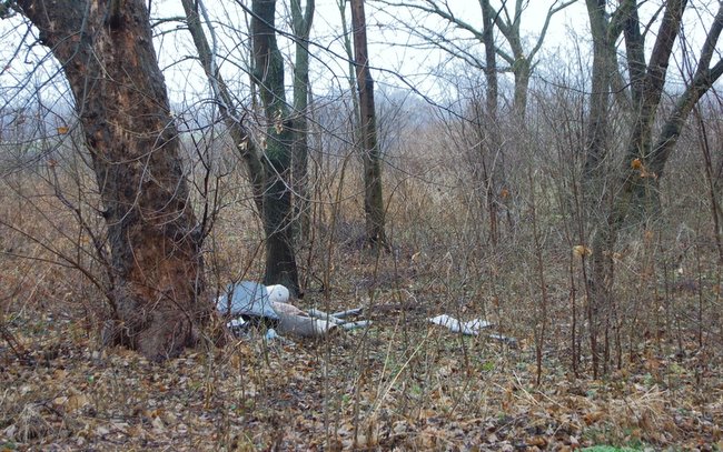 Jednym z pierwszych zadań, które stawia przed sobą sołectwo, jest uprzątnięcie terenu wokół parku Jednym z pierwszych zadań, które stawia przed sobą sołectwo, jest uprzątnięcie terenu wokół parku