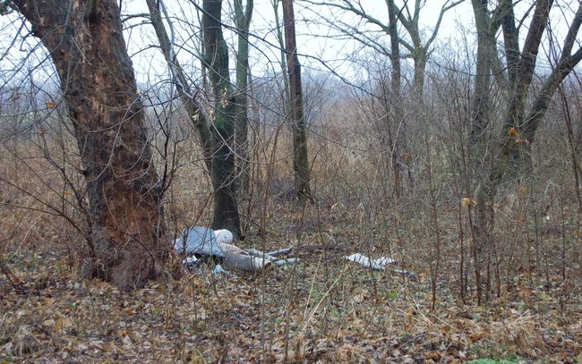 Jednym z pierwszych zadań, które stawia przed sobą sołectwo, jest uprzątnięcie terenu wokół parku