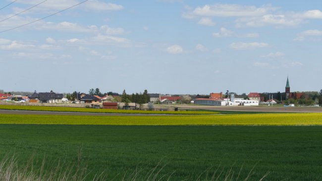 Tekst księdza Tomasza Błaszczyka dotyczy gminy Przeworno, ze szczególnym uwzględnieniem Cierpic. Na fotografii panorama Przeworna od strony Cierpic  