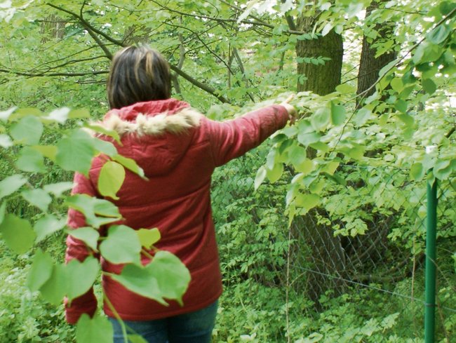 Tam, tuż za płotem, stoi woliera z hałaśliwymi papugami, pokazuje nasza Czytelniczka Tam, tuż za płotem, stoi woliera z hałaśliwymi papugami, pokazuje nasza Czytelniczka
