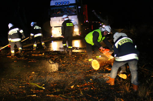 Strażacy z OSP Przeworno błyskawicznie usunęli z drogi powalone przez wiatr drzewo