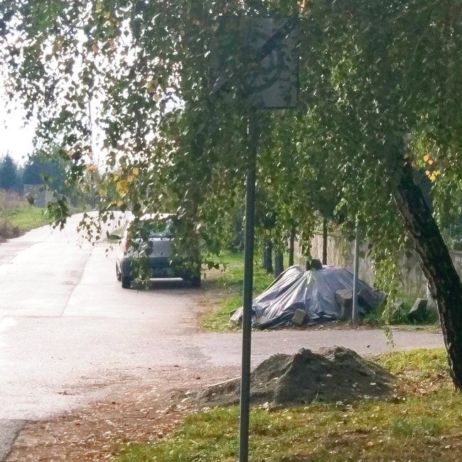 Liście i gałęzie sprawiają, że oznakowanie jest niewidoczne