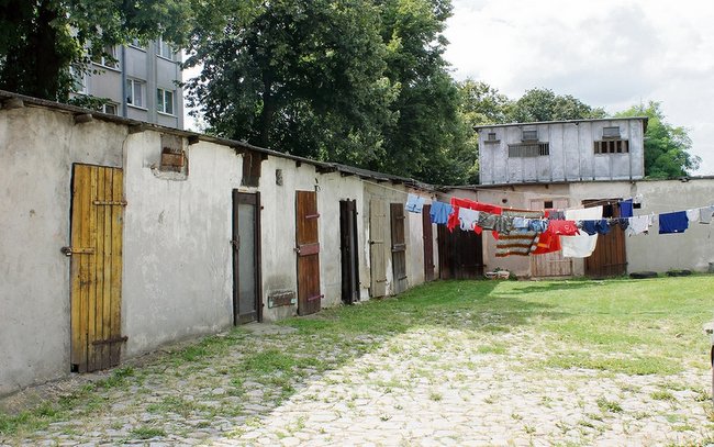 Okazuje się, że po podwórku biegają szczury, których boją się dzieci Okazuje się, że po podwórku biegają szczury, których boją się dzieci