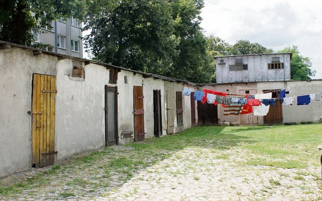 Okazuje się, że po podwórku biegają szczury, których boją się dzieci