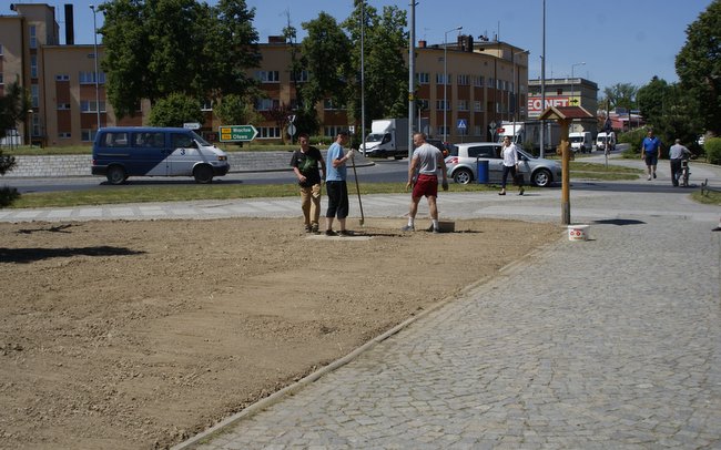 Po wymianie gruntu na skwerze posadzone zostaną róże, bukszpan i lawenda