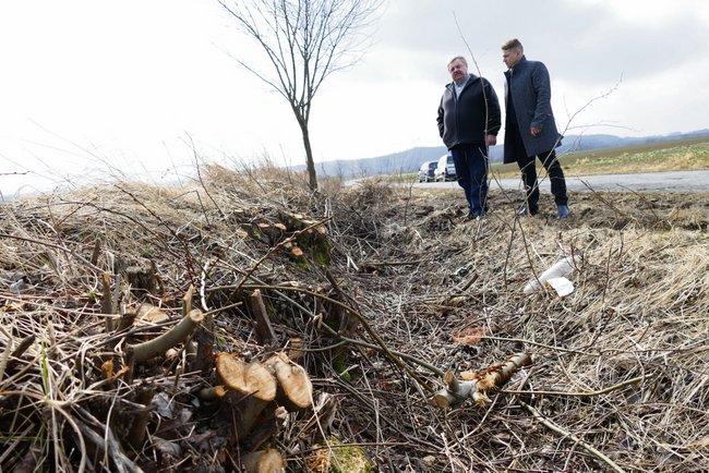 Przy drodze powiatowej z Przeworna do Dzierzkowej pracownicy PZD wycinają krzaki