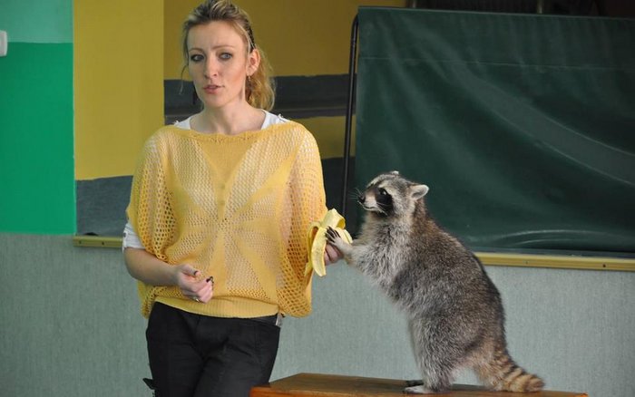 Foto: Ośrodek Leczenia i Rehabilitacji Dzikich Zwierząt Fundacji Świętego Huberta