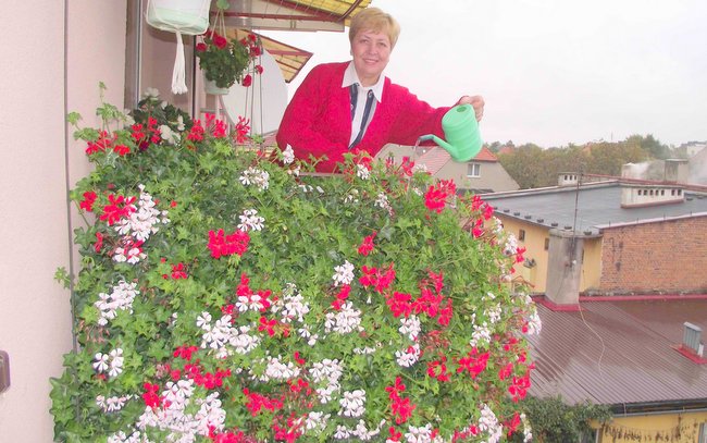Wanda Misiewicz ze Strzelina po raz drugi z rzędu zwyciężyła w konkursie na najładniejszy balkon w gminie