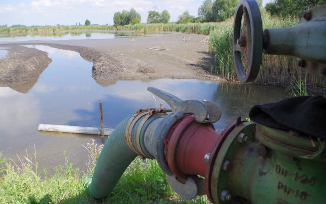 Winą za taki stan zbiornika ludzie obarczają właściciela, który wypompowuje z niego wodę, aby podlewać uprawiane pola