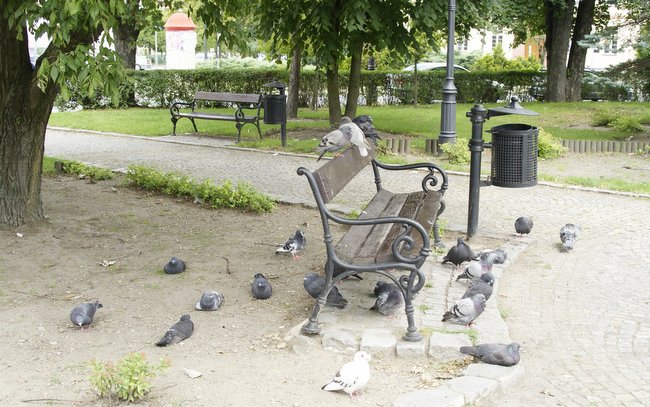 Uff, jak gorąco! Uff, jak gorąco...., a do zachodu słońca jeszcze tyle godzin...