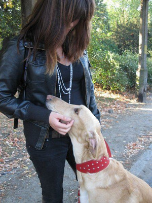 Petsitter musi wzbudzać zaufanie zwierzęcia Petsitter musi wzbudzać zaufanie zwierzęcia