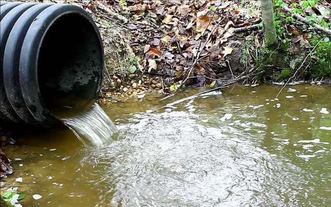 Strażnicy skontrolują co dzieje się z nieczystościami ciekłymi (foto z fanpejdżu SM)