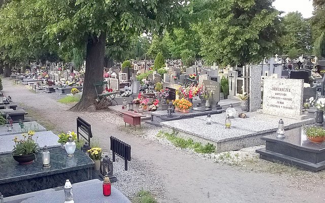 Sporządzenie dokumentacji technicznej cmentarza przy ul. Oławskiej wyniesie ok. 30 000 zł