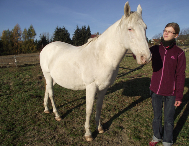 Agata Kuźniak z Białego Kościoła ma trzy konie. Niedawno jeden z nich (Birmucha) został postrzelony