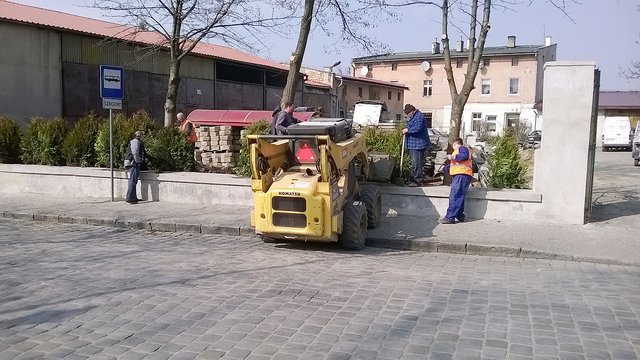 Przy ul. Pocztowej posadzonych zostało 16 żywotników