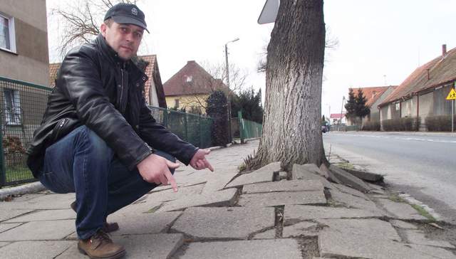Chodnik w Ludowie Polskim jest w fatalnym stanie. Rosnące na nim drzewa powodują, że płytki są popękane i nierówne (na zdjęciu sołtys Robert Żabski)